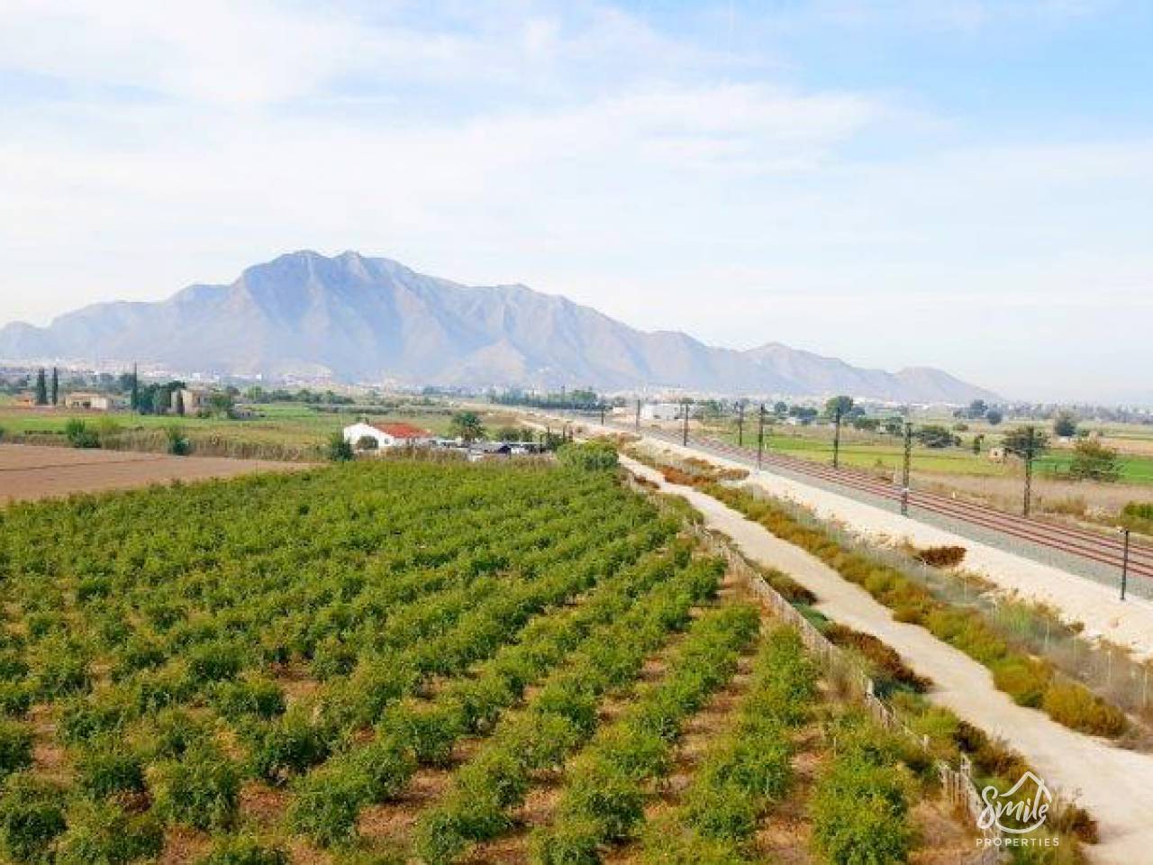 Finca - Segunda mano - Callosa De Segura - Callosa De Segura
