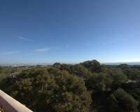 New Build - Penthouse - Guardamar del Segura - Pueblo