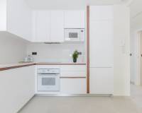 New Build -  - Torrevieja - Los balcones