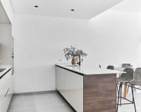 New Build -  - Torrevieja - Villa Amalia