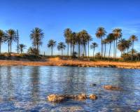Obra Nueva - Atico - Torrevieja - Playa de El Cura