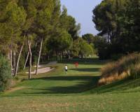 Obra Nueva - Villa - Orihuela - Las Colinas Golf