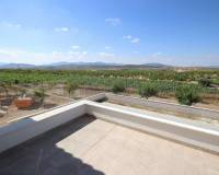 Obra Nueva - Villa - Pinoso - Camino Del Prado