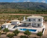 Obra Nueva - Villa - Pinoso - Camino Del Prado