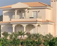 Obra Nueva - Villa - Pinoso - Camino Del Prado