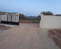 Obra Nueva - Villa - Pinoso - Camino Del Prado