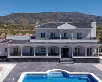 Obra Nueva - Villa - Pinoso - Camino Del Prado