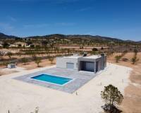 Obra Nueva - Villa - Pinoso - Camino Del Prado