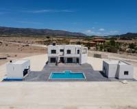 Obra Nueva - Villa - Pinoso - Camino Del Prado