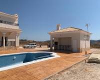 Obra Nueva - Villa - Pinoso - Camino Del Prado