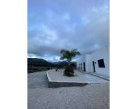 Obra Nueva - Villa - Pinoso - Casas Pastor