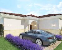 Obra Nueva - Villa - Pinoso - Rodriguillo