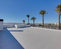 Obra Nueva - Villa - Torrevieja - Sector 25