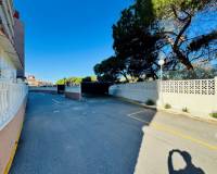 Resale - Apartment - La Mata - Alanis