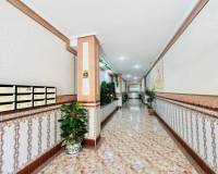 Resale - Apartment - La Mata