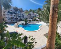 Resale - Appartement - La Mata - Los Europeos
