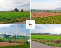 Resale - Finca - Callosa De Segura