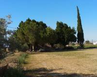 Resale - Finca - Callosa De Segura