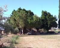 Resale - Finca - Callosa De Segura