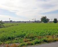 Resale - Finca - Callosa De Segura