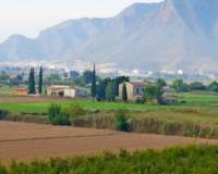 Resale - Finca - Callosa De Segura