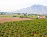 Resale - Finca - Callosa De Segura