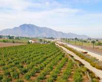 Resale - Finca - Callosa De Segura