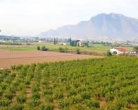 Resale - Finca - Callosa De Segura