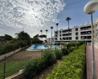 Segunda mano - Apartamento - La Mata - Pinada Beach II