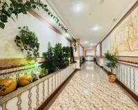 Segunda mano - Apartamento - La Mata