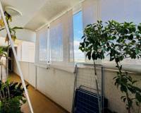 Segunda mano - Apartamento - Torrevieja - Aguas nuevas 1