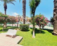 Segunda mano - Apartamento - Torrevieja - Torre la mata